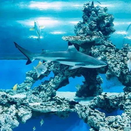 Przy Aquaparku W Redzie 露米雅