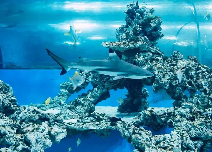 Przy Aquaparku W Redzie 露米雅